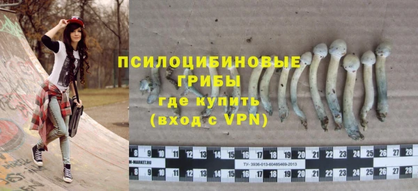 стафф Богданович