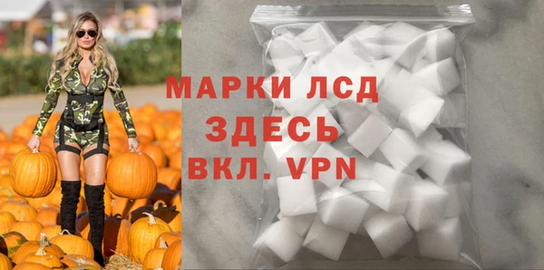 стафф Богданович