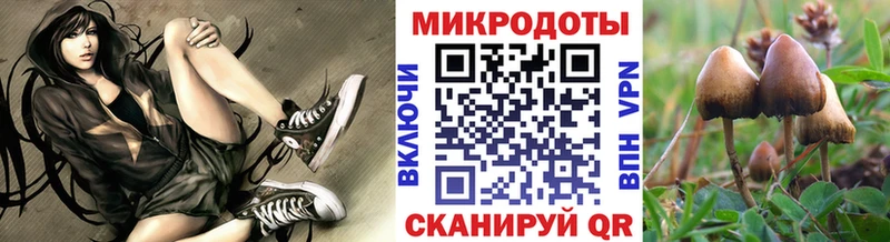 Псилоцибиновые грибы MAGIC MUSHROOMS  продажа наркотиков  Кириллов 