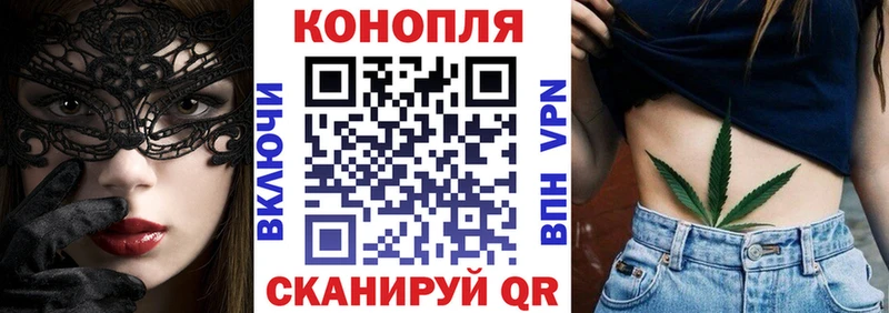 Каннабис OG Kush  Кириллов 